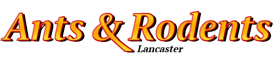 Lancaster Ant Exterminator & Rodent Control Company Logo